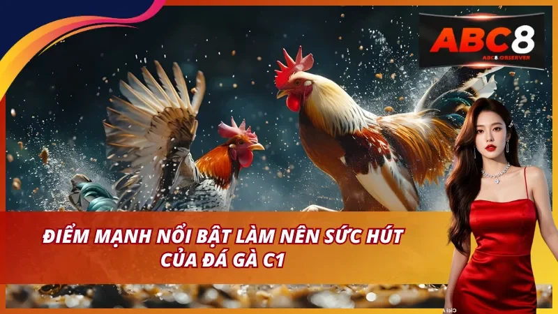 Điểm mạnh nổi bật làm nên sức hút của đá gà C1