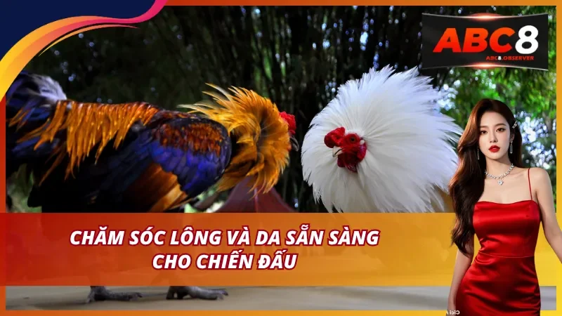 Chăm sóc lông và da sẵn sàng cho chiến đấu